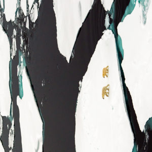 OuiSi Nature: 128 – Polar Bear and Cub – Daniel Beltra